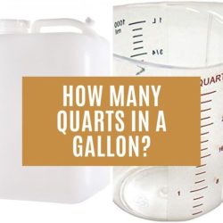 Gallon quarts quart gallons heall