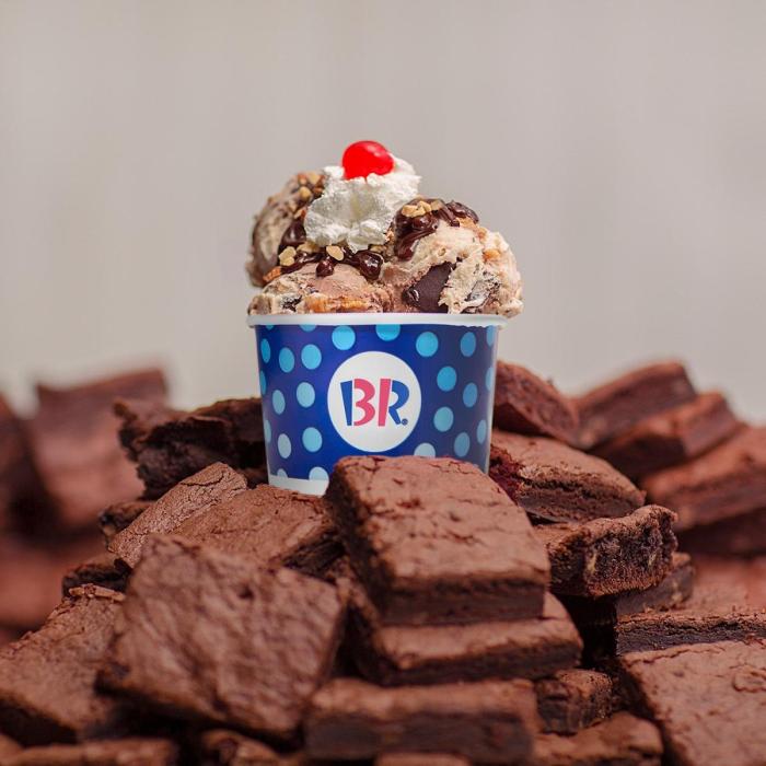 Warm brownie sundae baskin robbins