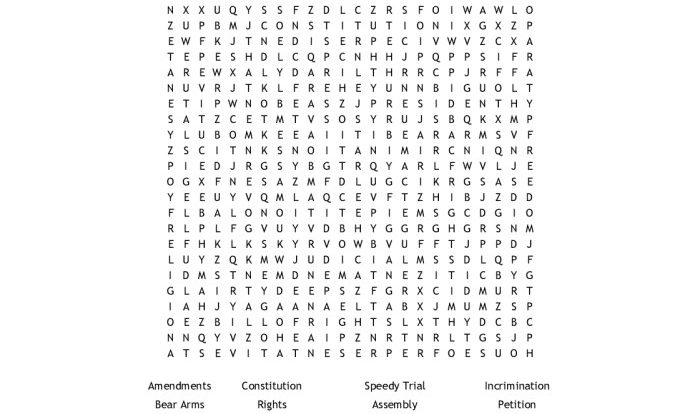 Bill of rights word search answers