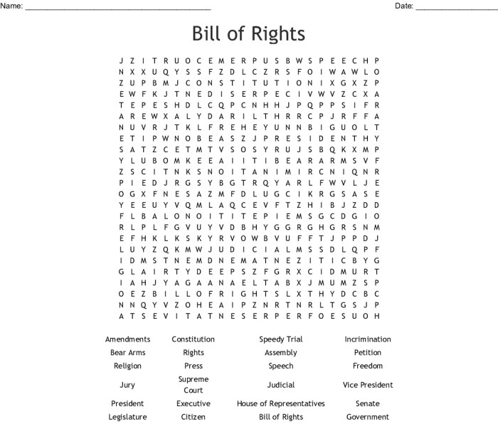 Bill of rights word search answers