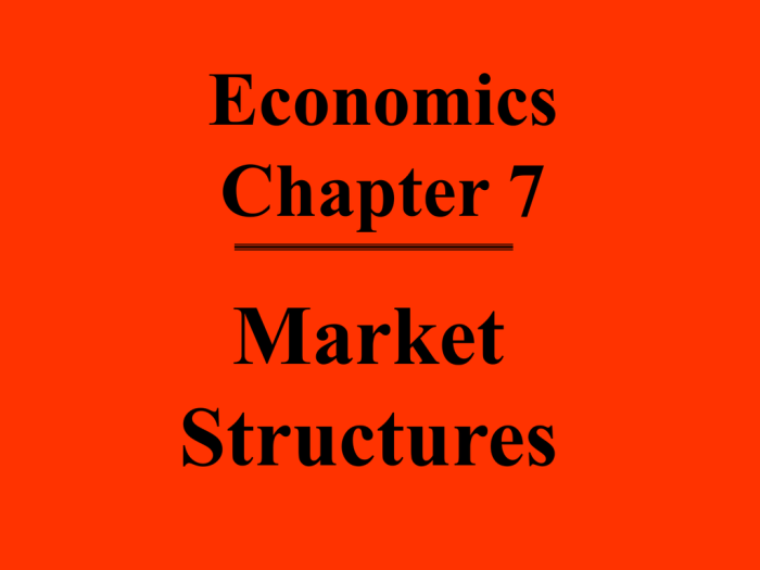 Chapter 7 market structures worksheet 1 answer key