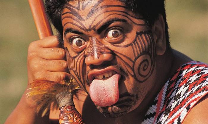 The maori genealogies and origins in new zealand