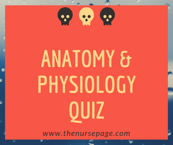 Human anatomy and physiology lab manual answer key pdf