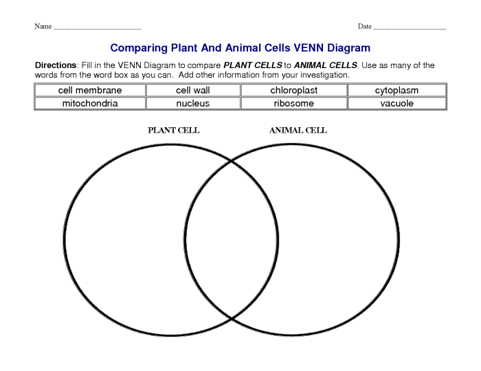 Comparing plant and animal cells venn diagram