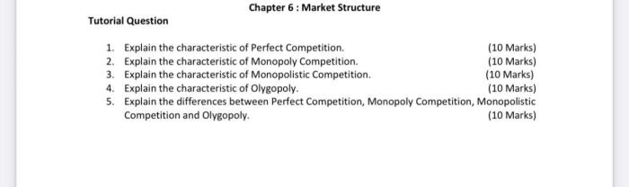 Chapter 7 market structures worksheet 1 answer key