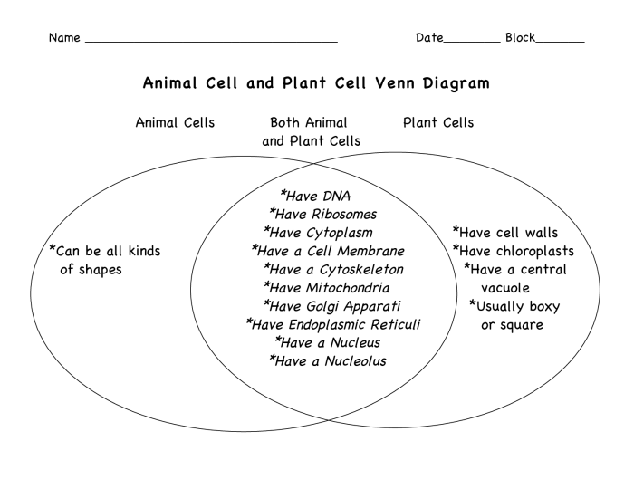 Comparing plant and animal cells venn diagram