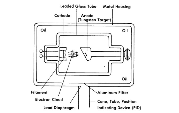 Label the components of the dental x ray tubehead