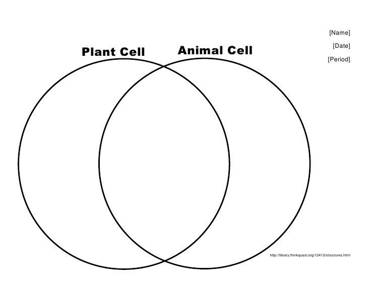 Comparing plant and animal cells venn diagram